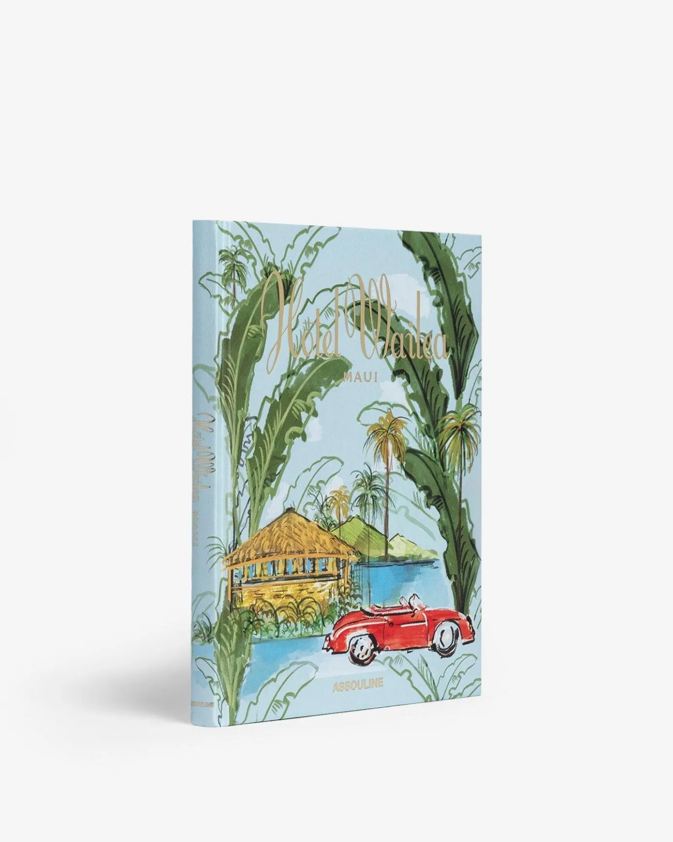 Reis-Assouline Hotel Wailea