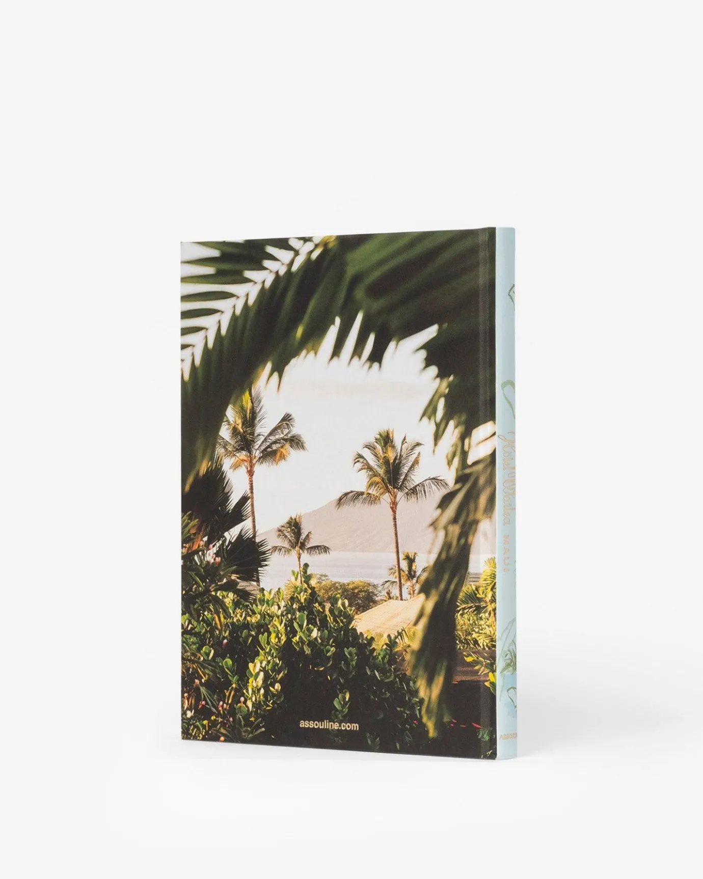 Reis-Assouline Hotel Wailea