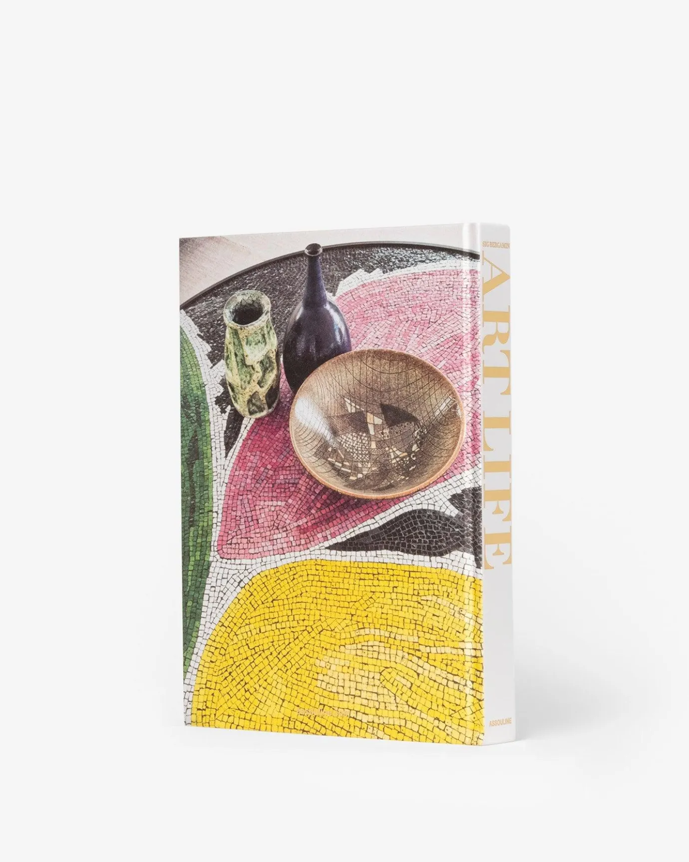 Kunst-Assouline Kunstleven Van Sig Bergamin