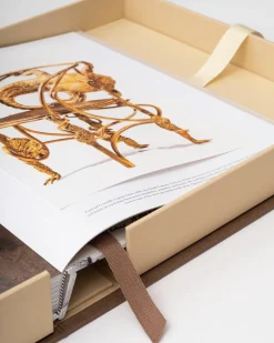 Kunst-Assouline Lalanne: Een Wereld Van Poezie