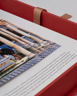 Architectonisch Ontwerp-Assouline Moskeeen: De 100 Meest Iconische Islamitische Gebedshuizen