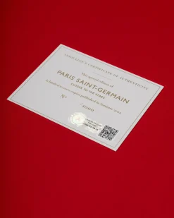 Sportwagens-Assouline Paris Saint Germain