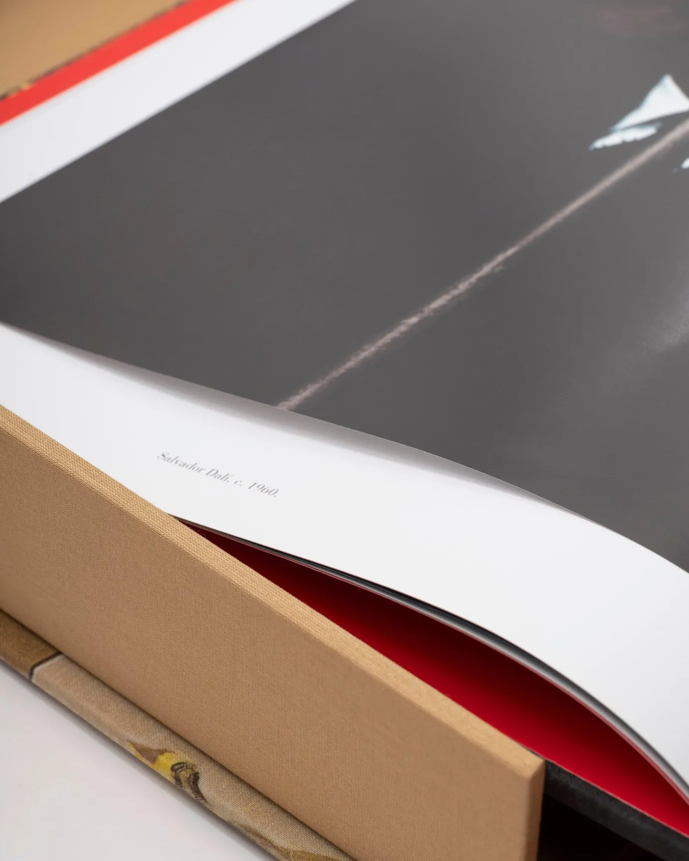 Kunst-Assouline Salvador Dali: De Onmogelijke Collectie