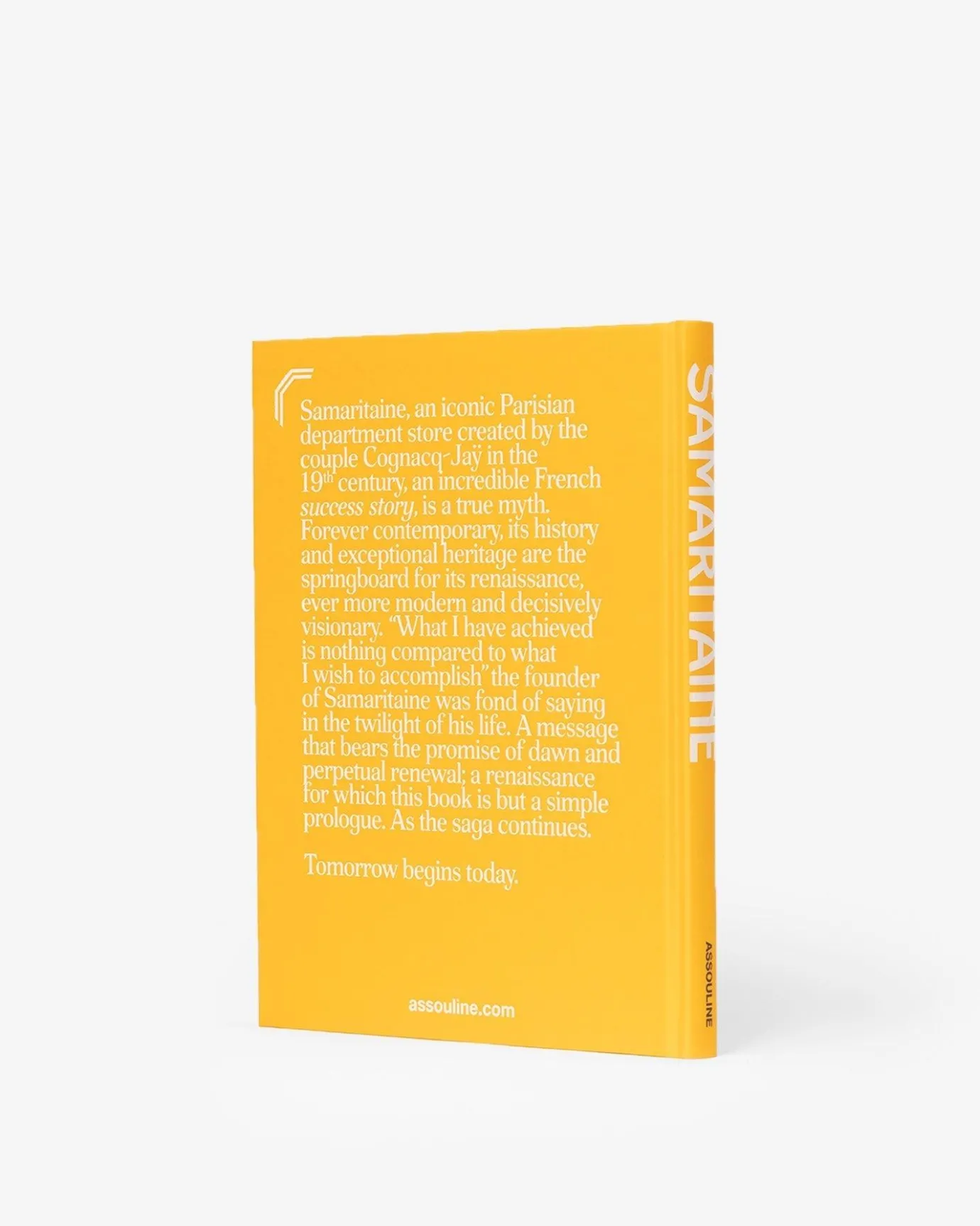 Architectonisch Ontwerp-Assouline Samaritaine: Parijs Pont-Neuf