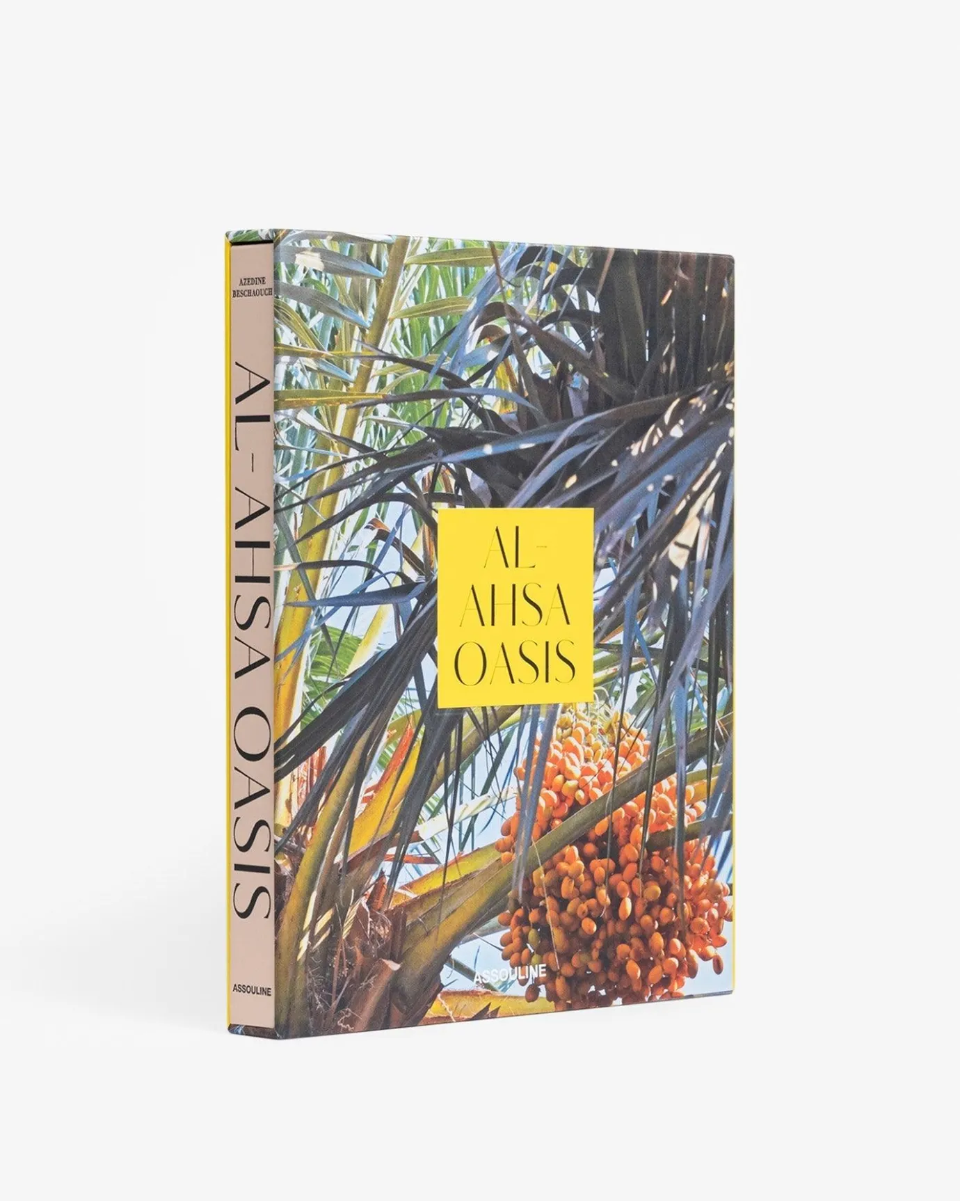 Reis-Assouline Saoedi-Arabie: Al-Ahsa-Oase