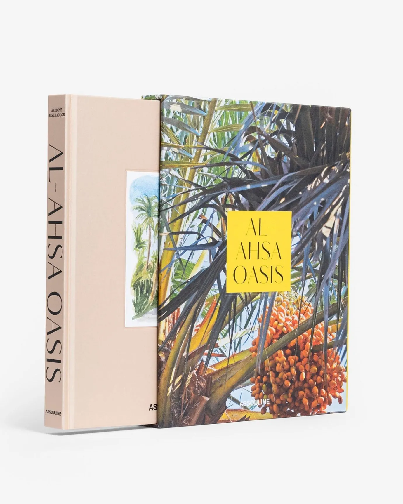 Reis-Assouline Saoedi-Arabie: Al-Ahsa-Oase