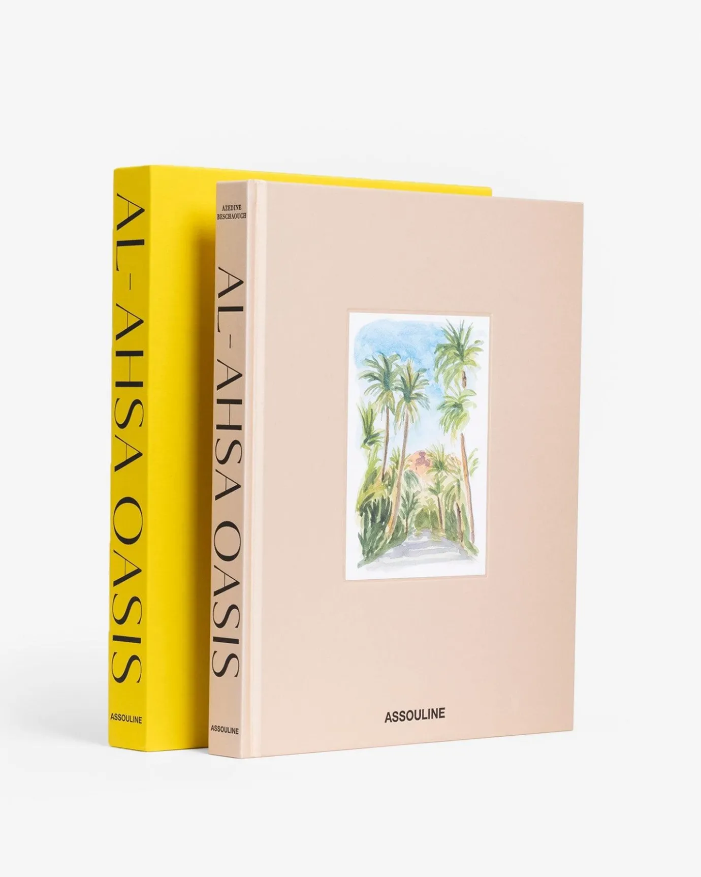 Reis-Assouline Saoedi-Arabie: Al-Ahsa-Oase