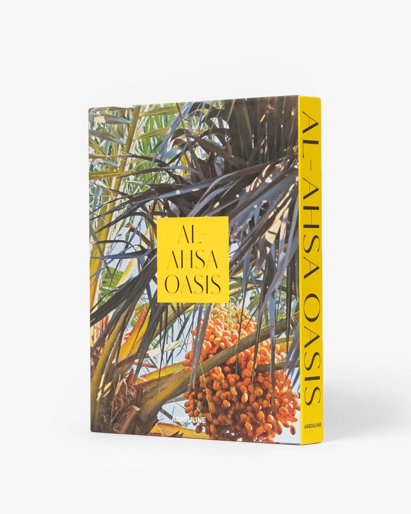 Reis-Assouline Saoedi-Arabie: Al-Ahsa-Oase