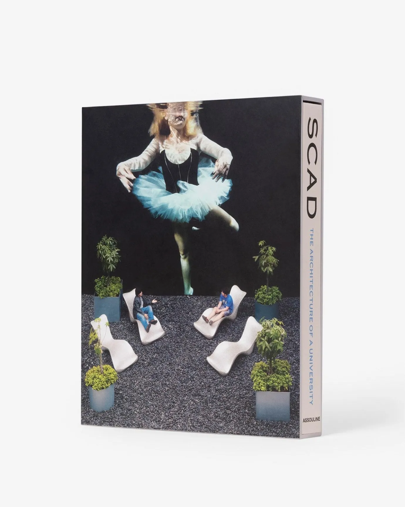 Architectonisch Ontwerp-Assouline Scad, Architectuur Van Een Universiteit