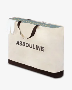 Architectonisch Ontwerp-Assouline Synagogen Van Venetie