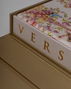 Kunst-Assouline Versailles: Van Lodewijk Xiv Tot Jeff Koons (Speciale Editie)