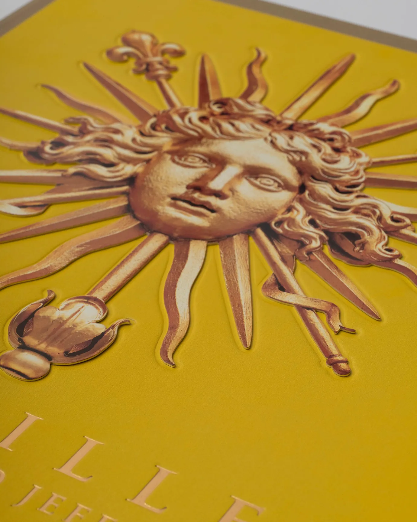 Kunst-Assouline Versailles: Van Lodewijk Xiv Tot Jeff Koons (Speciale Editie)