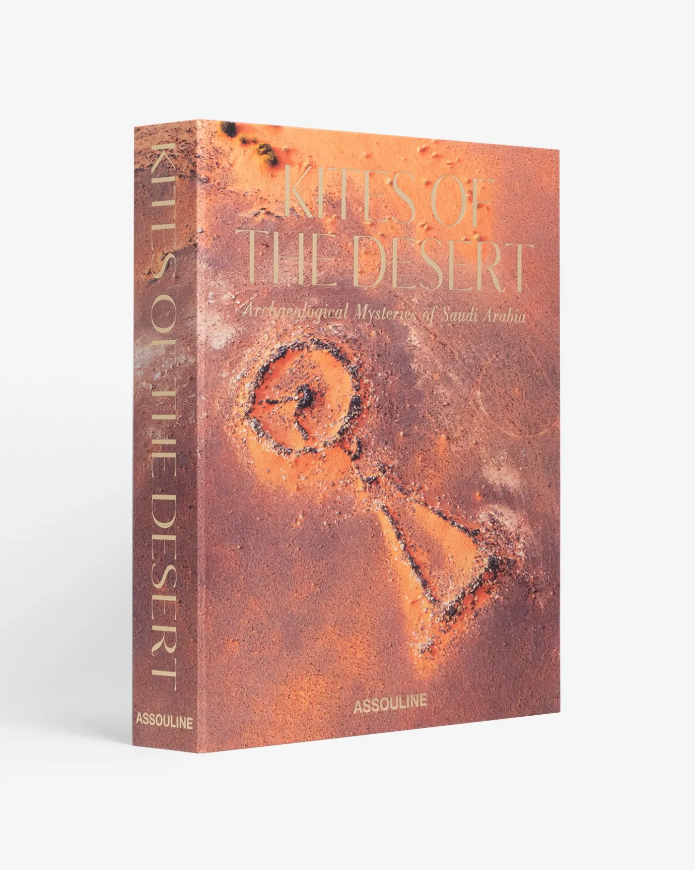 Reis-Assouline Vliegers Van De Woestijn: Archeologische Mysteries Van Saoedi-Arabie