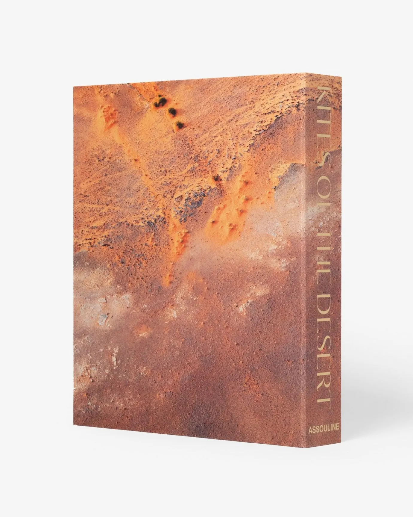 Reis-Assouline Vliegers Van De Woestijn: Archeologische Mysteries Van Saoedi-Arabie