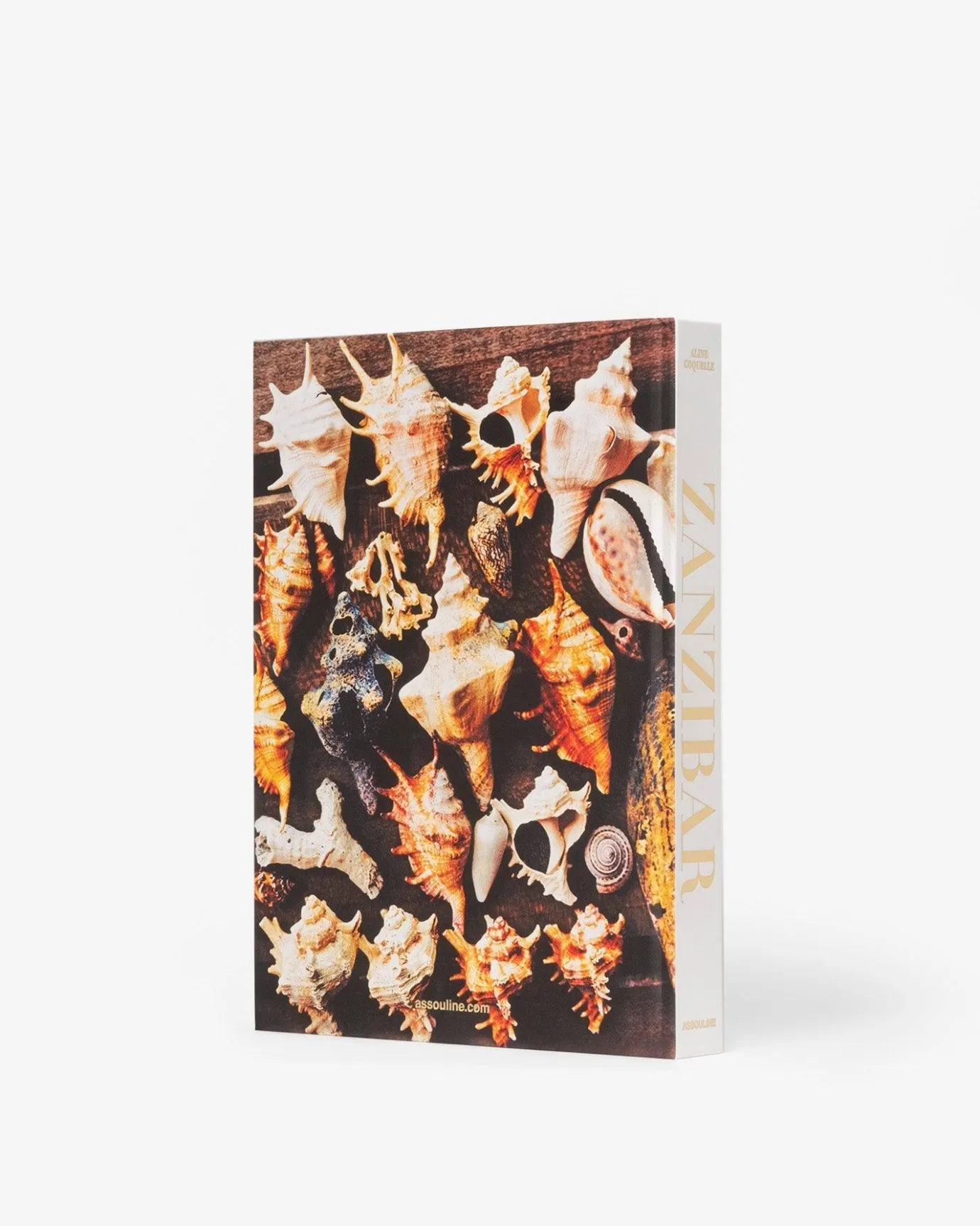 Reis-Assouline Zanzibar